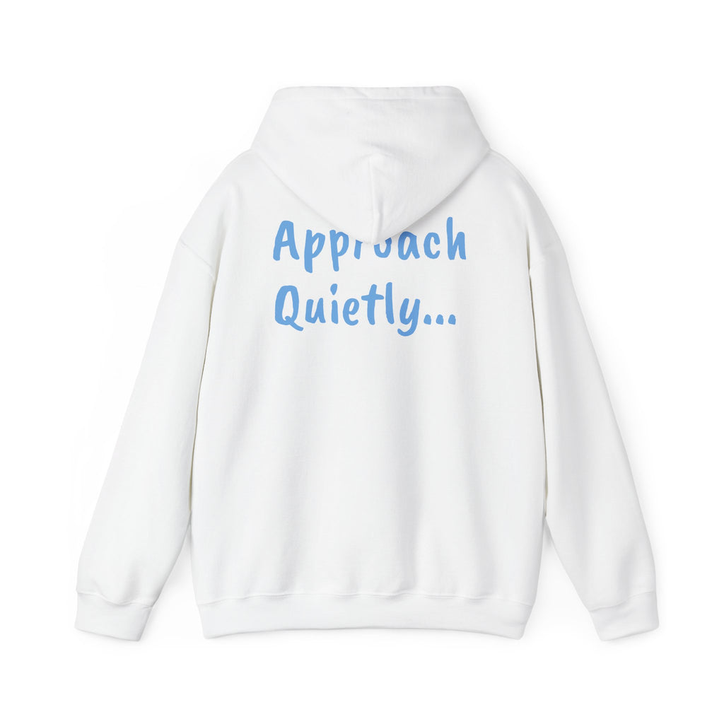 Reading Hoodie - "Approach Quietly" Cozy Booklover Pullover