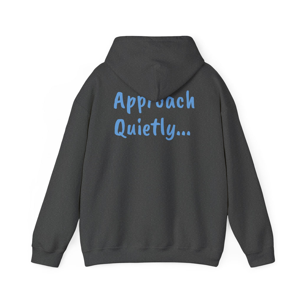 Reading Hoodie - "Approach Quietly" Cozy Booklover Pullover