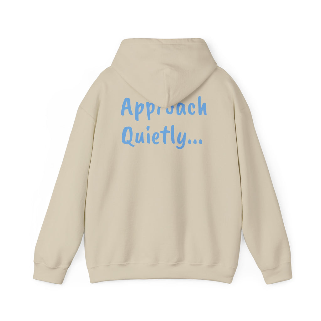 Reading Hoodie - "Approach Quietly" Cozy Booklover Pullover