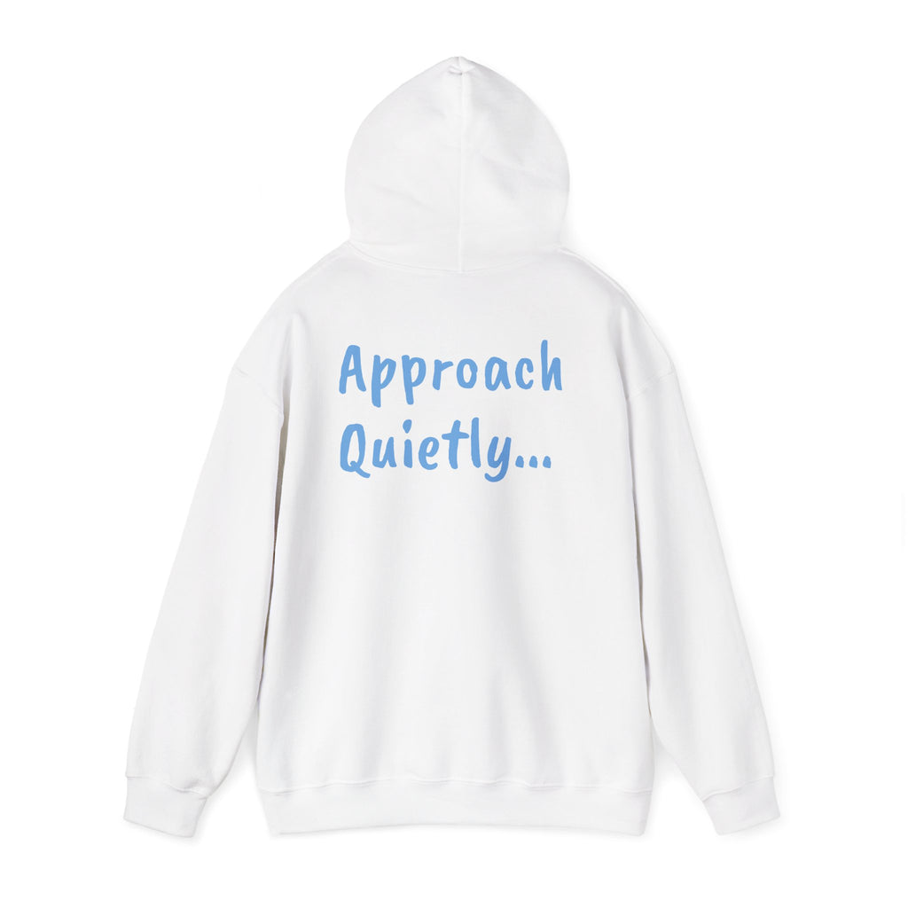 Reading Hoodie - "Approach Quietly" Cozy Booklover Pullover