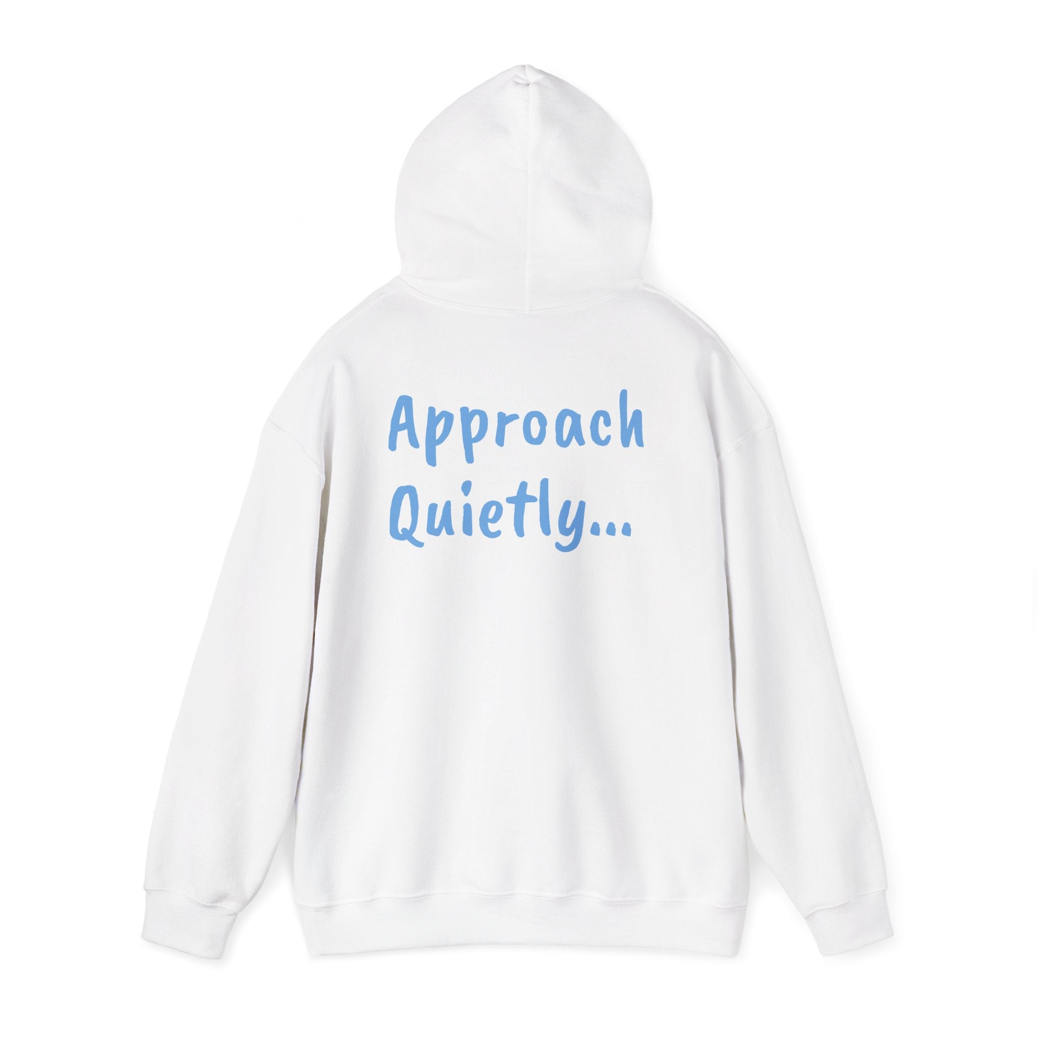 Reading Hoodie - "Approach Quietly" Cozy Booklover Pullover