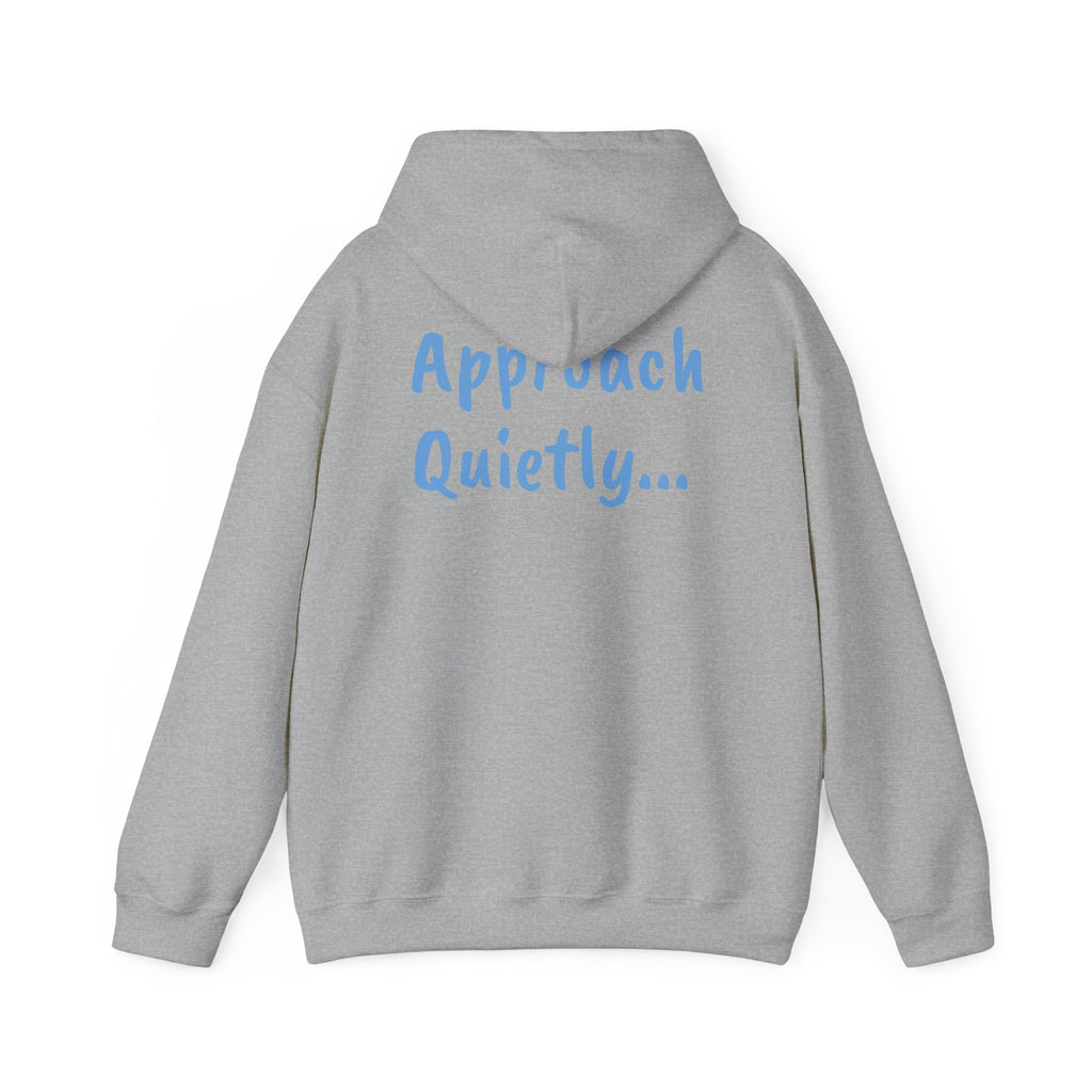 Reading Hoodie - "Approach Quietly" Cozy Booklover Pullover