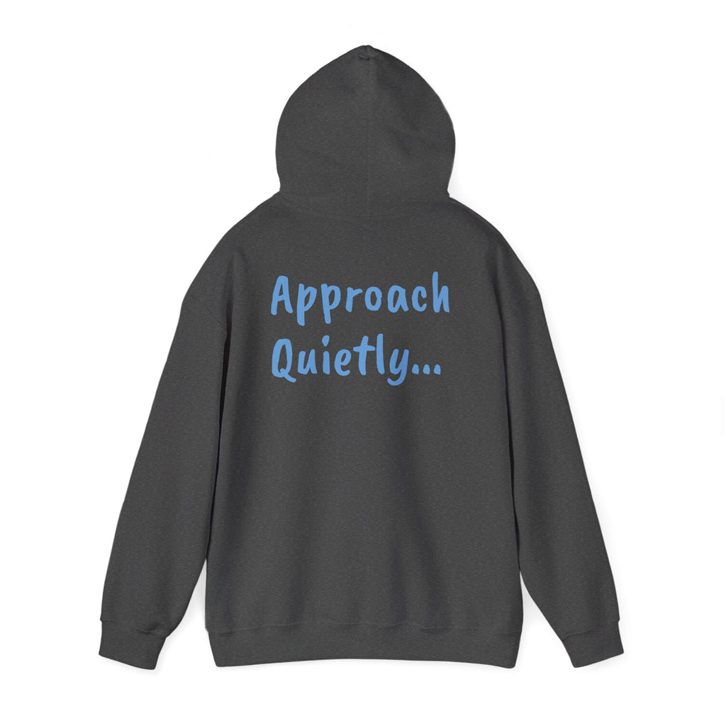 Reading Hoodie - "Approach Quietly" Cozy Booklover Pullover