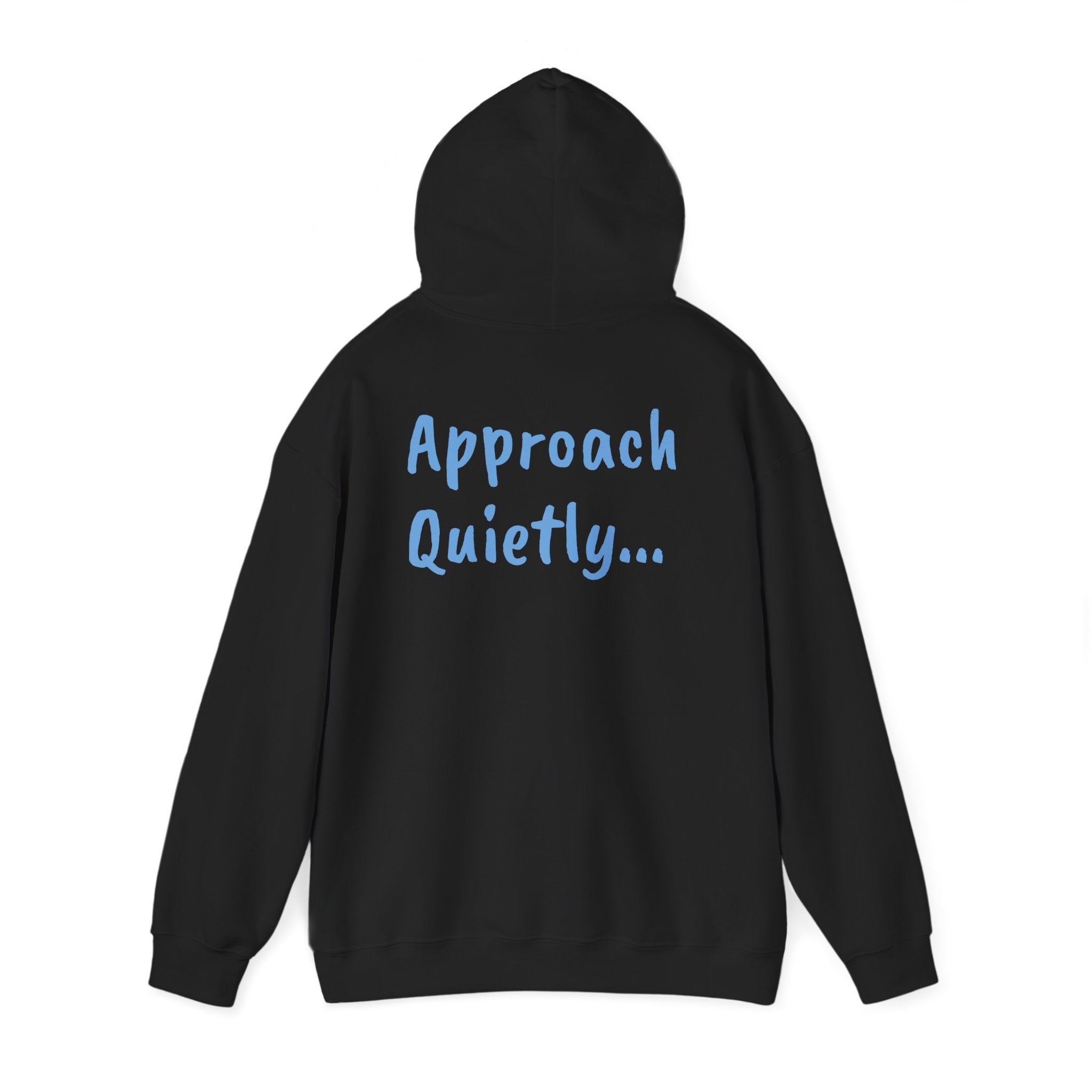 Reading Hoodie - "Approach Quietly" Cozy Booklover Pullover