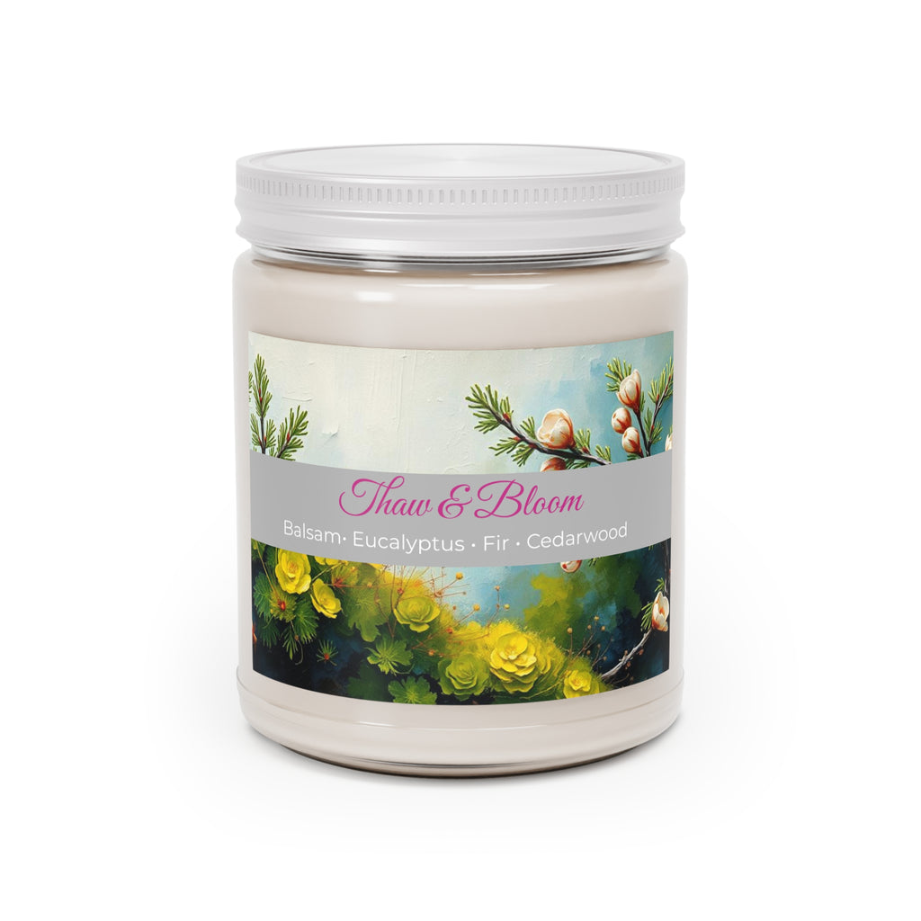 Thaw & Bloom Soy Candle ‚Äî Fir, Balsam & Cedarwood (9oz)