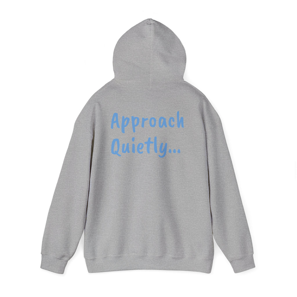 Reading Hoodie - "Approach Quietly" Cozy Booklover Pullover