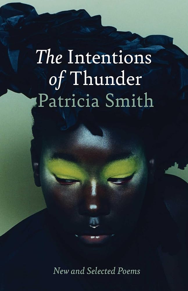 The Intentions of Thunder: New and Selected Poems cover image